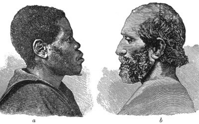 Bantu-Völker und die arabisch-bantuische Begegnung ab dem 8. Jahrhundert n. Chr.